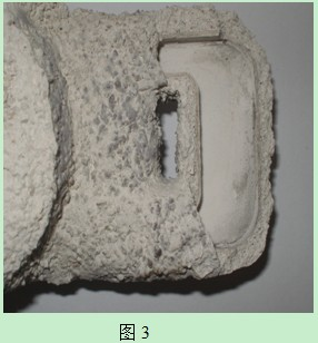 圖片1